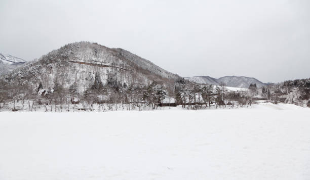 istock Shirakawago village with snow in winter 802923662