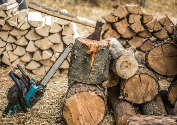 istock Man chopping wood with a chainsaw 802923868