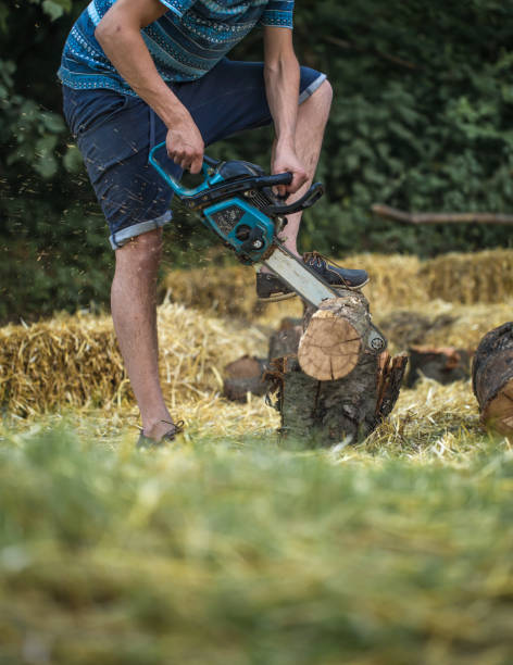 istock Man chopping wood with a chainsaw 802923872