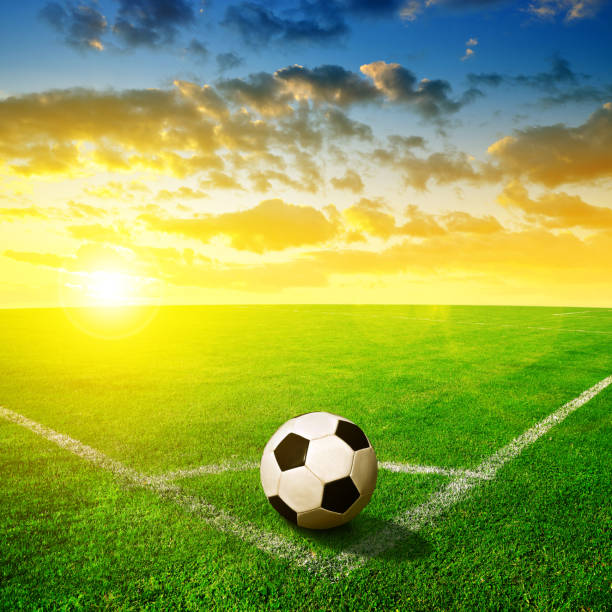istock Soccer ball on green grass. 802937960