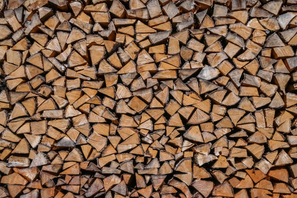 istock Pile of firewood 802938528