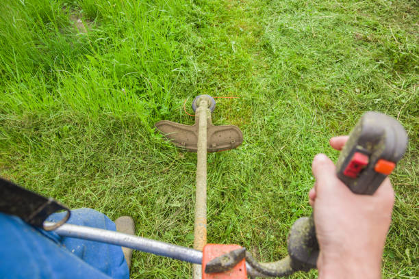 istock Man wearing overalls mowing green grass with gasoline lawn trimmer. The differences between the mowed grass and not yet mow grass with trimmer in the middle. 802944946