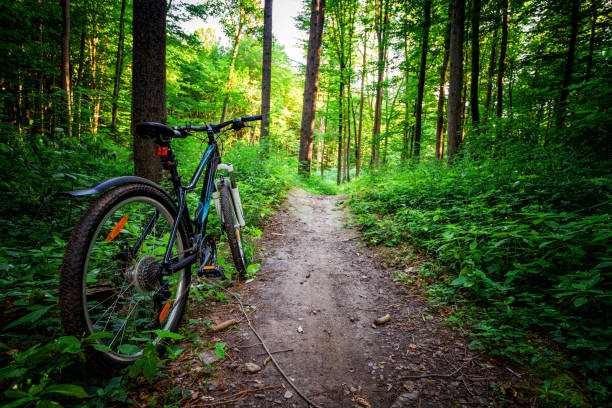 istock Mountain biking down hill descending fast on bicycle. View from bikers eyes. 802960936