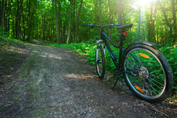 istock Mountain biking down hill descending fast on bicycle. View from bikers eyes. 802961006