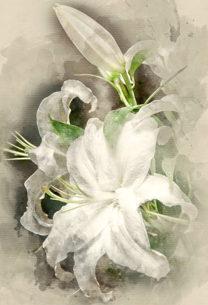 istock bouquet of flowers 802976922