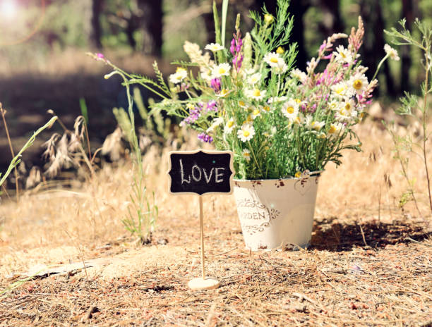 istock Wooden pointer with the inscription love 802986610