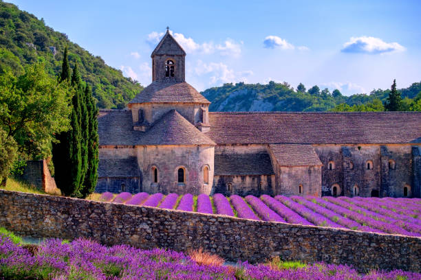 istock Lavender fields at Senanque monastery, Provence, France 802989932