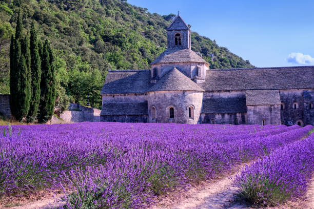 istock Lavender fields at Senanque monastery, Provence, France 802990036