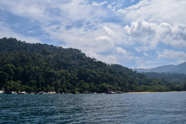 istock Tioman island. Malaysia 802990892