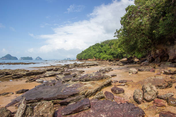 istock beautiful beach and rocks at Laem Chamuk Khwai 802991504