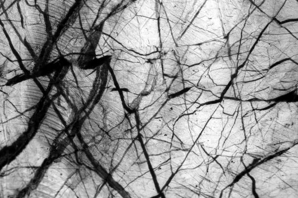 istock abstract pattern natural marble black and white for background and design 802994546