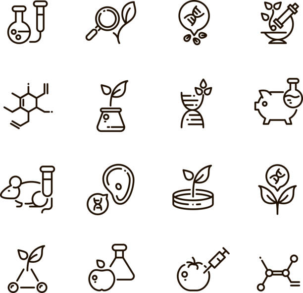 ilustraciones, imágenes clip art, dibujos animados e iconos de stock de alimentos transgénicos y la ciencia médica vector iconos editables de línea. símbolos de esquema tecnología agricultura y modificación de adn - biotechnology