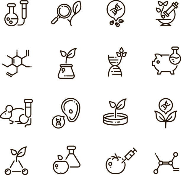Gmo food and medical science vector line editable icons. Dna modification and agriculture technology outline symbols Gmo food and medical science vector line editable icons. Dna modification and agriculture technology outline symbols. Science genetic modification dna in food illustration bio tech stock illustrations
