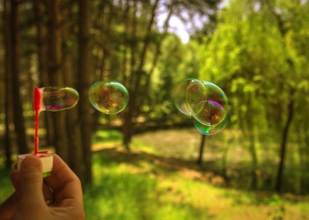 istock soap bubbles into the sunset with beautiful bokeh. 803004622