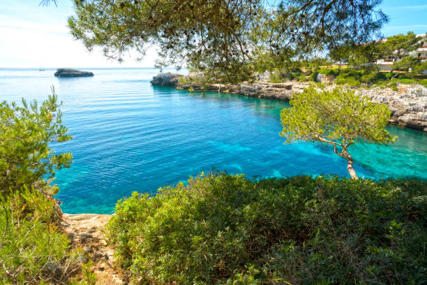 istock Beach of Cala Ferrera Mallorca, Spain 803005340