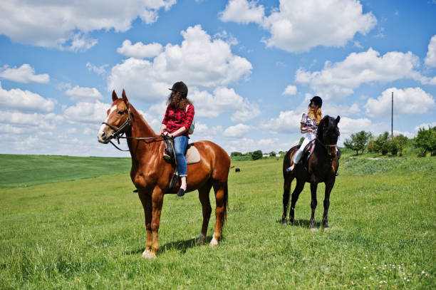 jeunes de remorquage jolie filles un cheval sur un champ à une journée ensoleillée. - bride women standing beauty in nature photos et images de collection