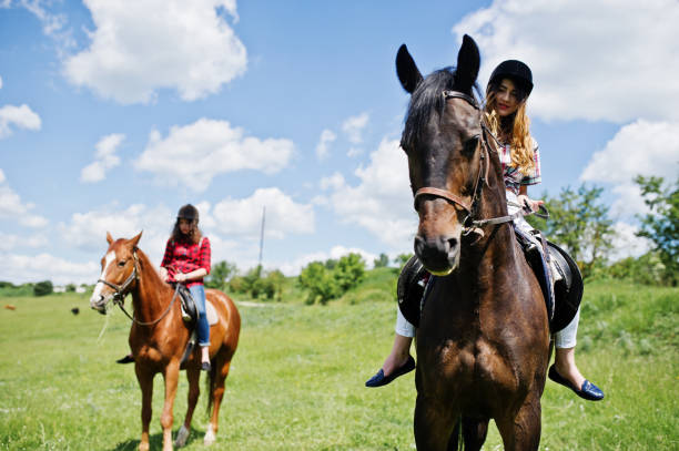 jeunes de remorquage jolie filles un cheval sur un champ à une journée ensoleillée. - bride women standing beauty in nature photos et images de collection