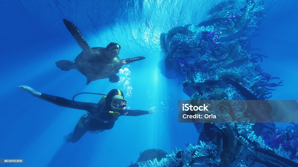 Plongeur et giant turtle - Photo de Plongée sous-marine autonome libre de droits