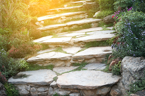 Landscaping in the garden. The path in the garden with burst light