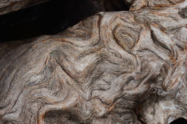 나무 노트와 깊은, 유 목에 물결 모양 곡물 - driftwood pattern wood grain circle 뉴스 사진 이미지