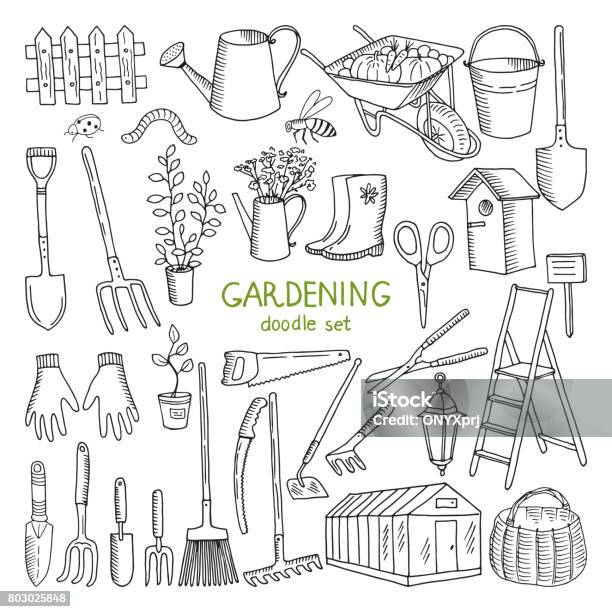 Vektorhandgezeichnete Illustrationen Der Gartenarbeit Verschiedenen Doodle Elemente Für Gartenarbeiten Stock Vektor Art und mehr Bilder von Gärtnern