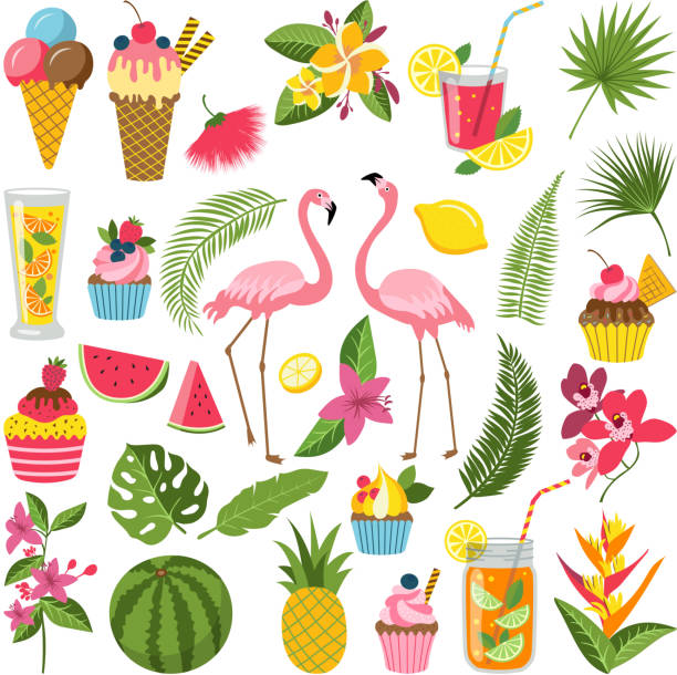 ilustraciones, imágenes clip art, dibujos animados e iconos de stock de horario de verano etiquetas conjunto para fiesta tropical. diferentes iconos de estilo plano. flamingo, sandía, limonada y bebidas - american flamingo