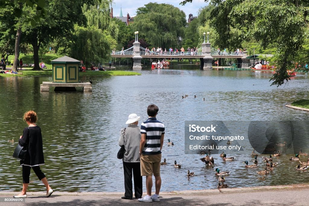 Ducks in Boston Common People visit famous Boston Common in Boston. It is the oldest city park in the United States, founded in 1634. Architecture Stock Photo