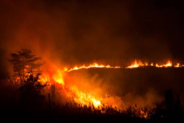 istock Blurry Picture of Fire Burning Grass and Trees 803045440