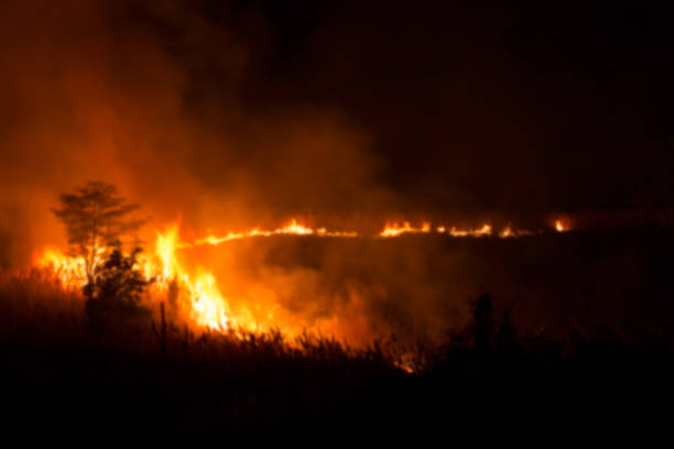 istock Blurry Picture of Fire Burning Grass and Trees 803045442
