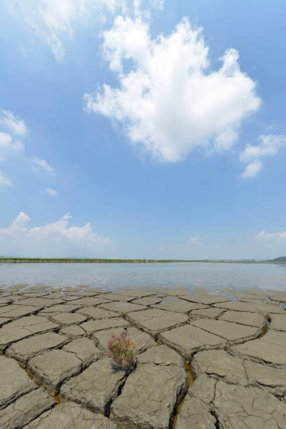 istock Many cracked mud beaches and blue sky 803057942