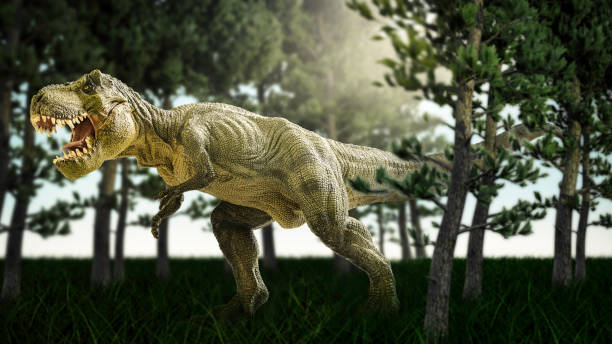 istock dinosaur living in snow. 803060096