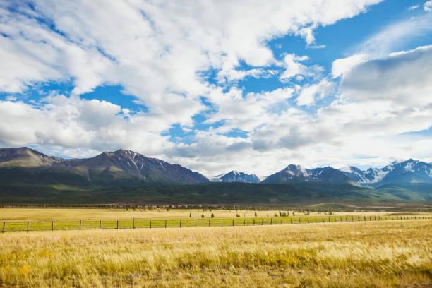 istock Kurai steppe. Altai mountain summer landscape. Russia 803071908