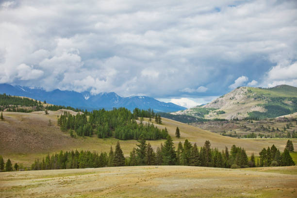 istock Altai mountain summer landscape near Kurai. 803077654