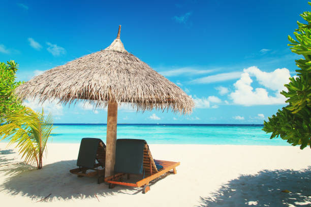 istock Beach chairs on the tropical beach 803093718