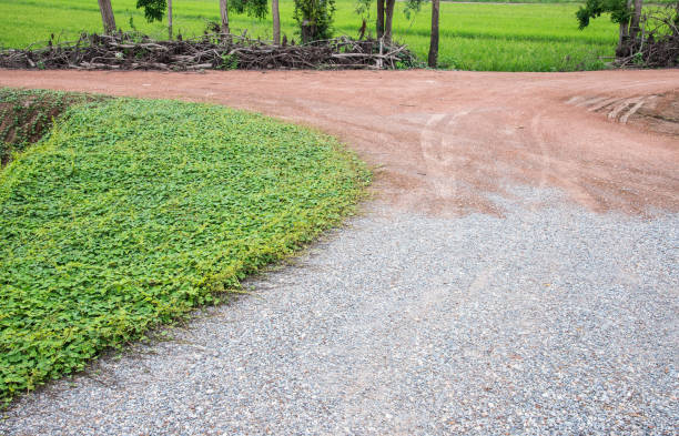istock Dirt road with the gravel ground. 803094754