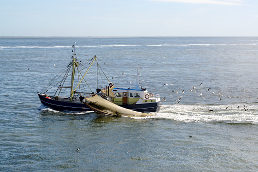 Fishing boat dragging a net throught the water of the Waddensea, The Netherlands. Lots of seagulls
