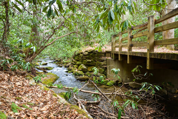 istock Nature scenery with bridge and creek 803098640
