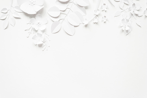 White paper flowers on white background. Cut from paper. Place for your text.