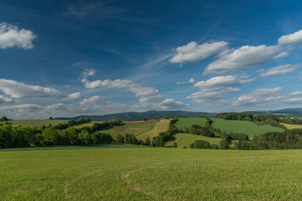Fields and meadows near Roprachtice village in spring sunny evening