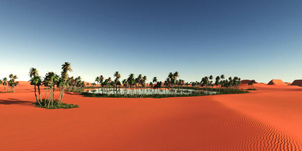 panoramique d’oasis dans le désert - brume de chaleur photos et images de collection