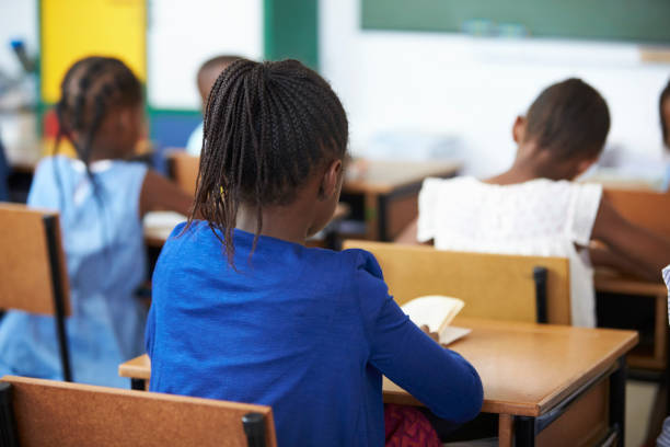 istock Back view of kids during a lesson at an elementary school 803150212