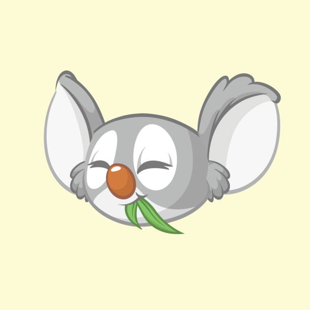 ilustraciones, imágenes clip art, dibujos animados e iconos de stock de icono principal de la koala de dibujos animados. ilustración de vector de rostro lindo koala - stuffed animal toy koala australia