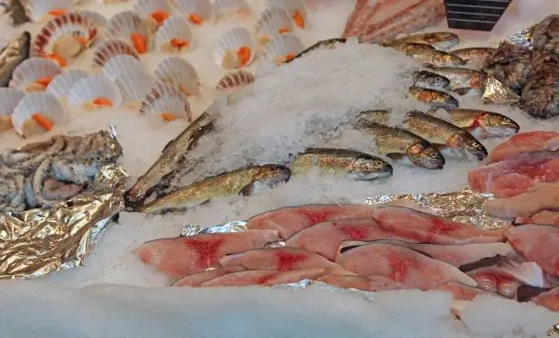 raw fishes over the ice for sale in the fish market