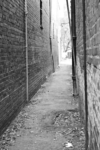 istock Black and White Brick Alley 803185858