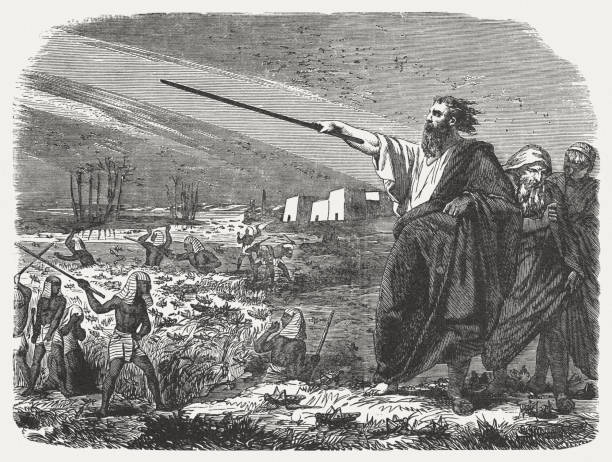 ilustrații de stoc cu a opta lovitură: lăcuste (exodul 10, 1-19), gravură în lemn, publicată în 1886 - epidemie