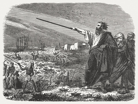 The Eighth Blow: Locusts (Exodus 10, 1-19). Wood engraving, published in 1886.