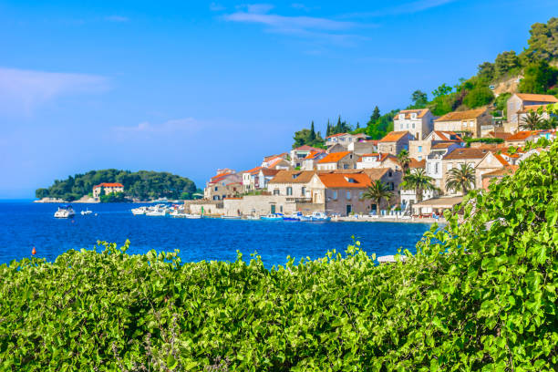 istock Vis island Croatia. 803193558