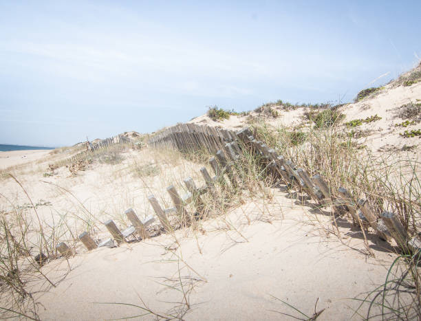 istock Beautiful Atlantic beach in Portugal 803200784