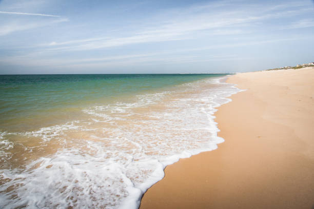 istock Beautiful Atlantic beach in Portugal 803200790