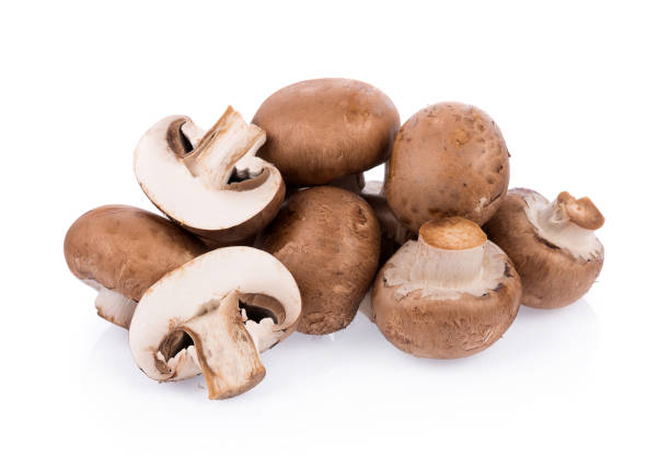 istock Mushroom champignon isolated on white background 803209034